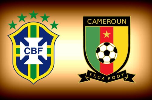 Article : Brésil-Cameroun : « Les Lions indomptables ne forment plus une équipe »