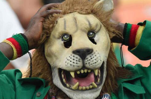 Article : Cameroun : Les 11 choses à retenir de l’élimination des Lions indomptables